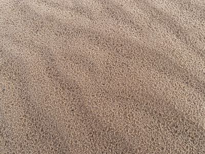 aussie2101 thumbnail