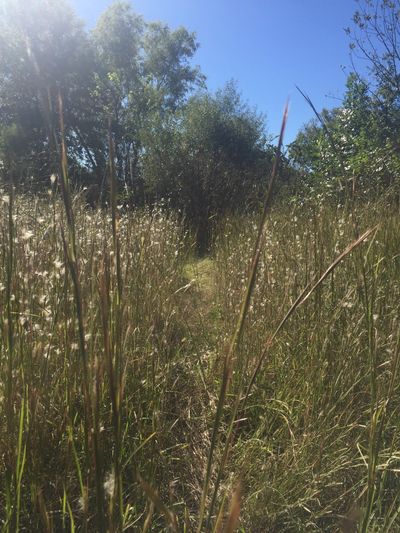 richgrayson thumbnail