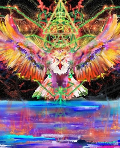 trippiehippieproductions profile