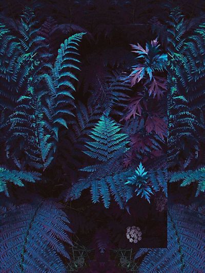 madelinxindica thumbnail