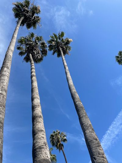 fitandfreakyy thumbnail