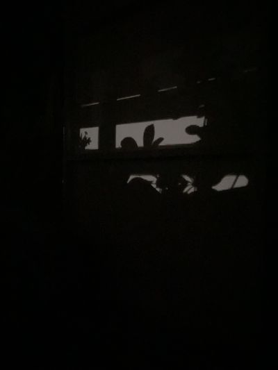 acslayherxxx thumbnail