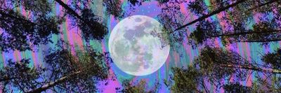 reyesrivera_ thumbnail