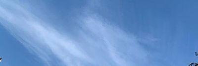 Celeste ✨ thumbnail