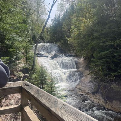 butterflysamie thumbnail