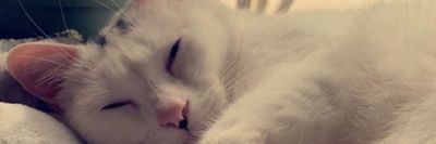 joshmenot69 thumbnail