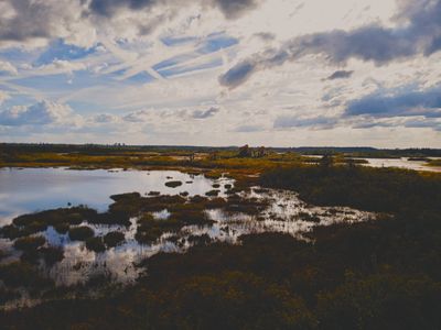 Anna Marie thumbnail