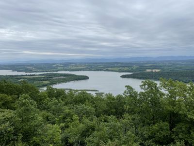 divinity_rose thumbnail