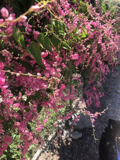 margaux.alexander7 thumbnail