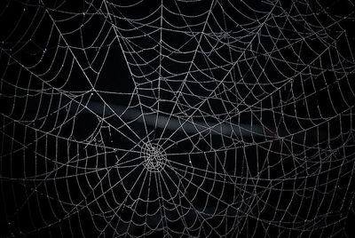 𝔚𝔬𝔯𝔪𝔶 thumbnail