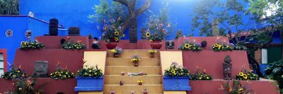 aldohernandez08 thumbnail