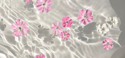 spoilsimona thumbnail