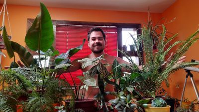 nachoplantitas thumbnail