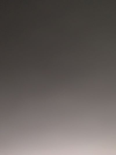 phlstallion thumbnail