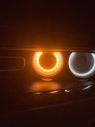 cold_cash_devine thumbnail