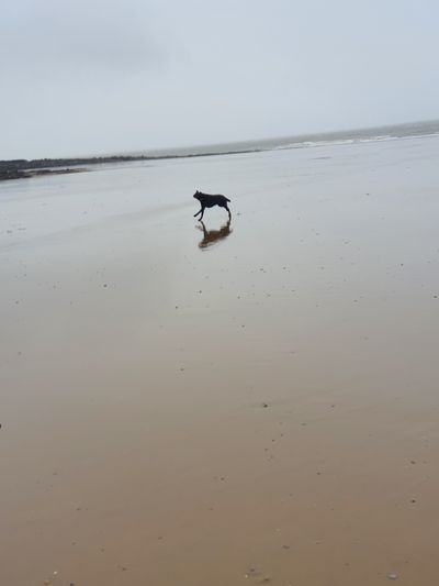 u183673844 thumbnail