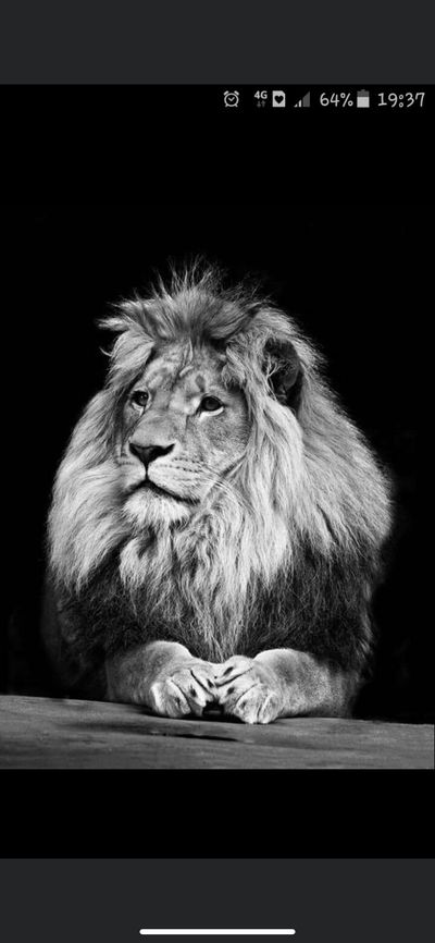 alexsthemanch thumbnail