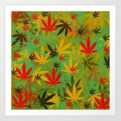 rogerra64589320 thumbnail