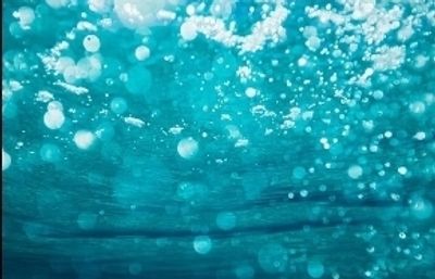 megnificent.mermaid thumbnail