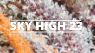 Sky High 23 thumbnail