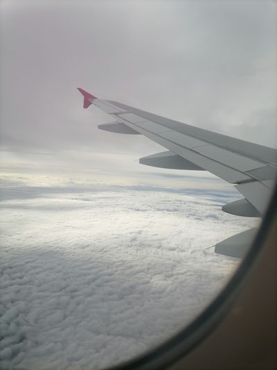 andrylatina thumbnail