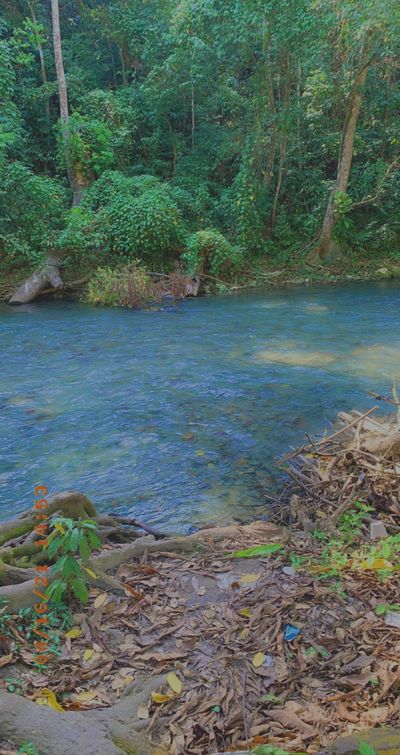 hilifefantasy thumbnail