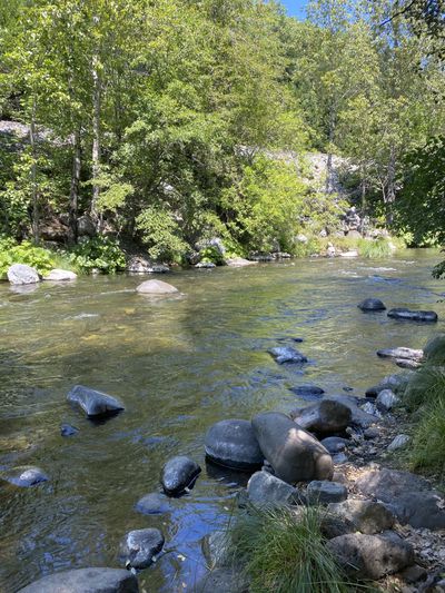 mysteriouslytasty thumbnail