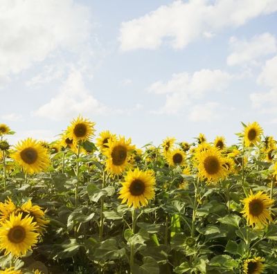 toesandtittyes thumbnail