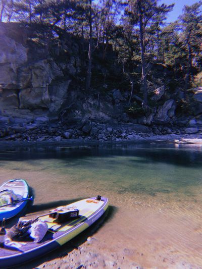 dungeonbitchh thumbnail