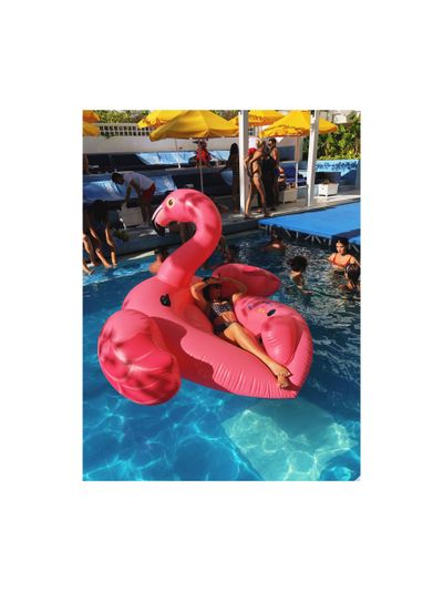 whitetoesblueeyes thumbnail