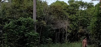 cyclist_21cm thumbnail