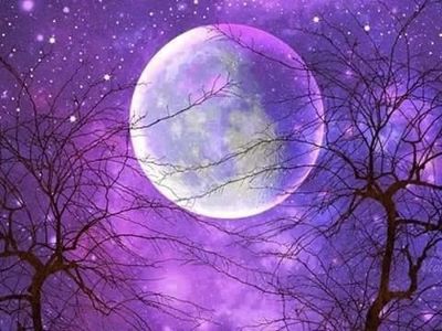 jarrett123 thumbnail