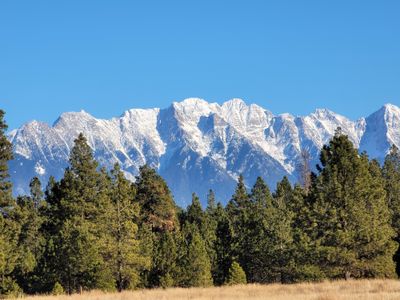 Kevinkismet thumbnail