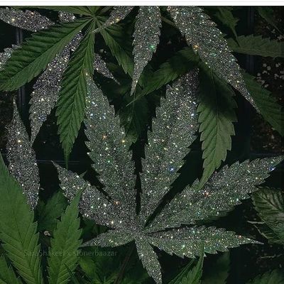 punkprincesssss thumbnail