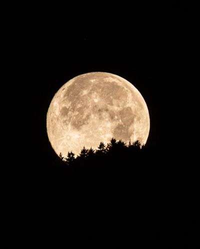 bottomboyakavanilla thumbnail