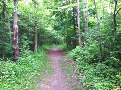 Aileana Mae thumbnail