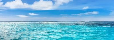 The Shibari Kitten Goes Free thumbnail