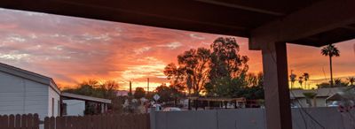 operationwolfe thumbnail