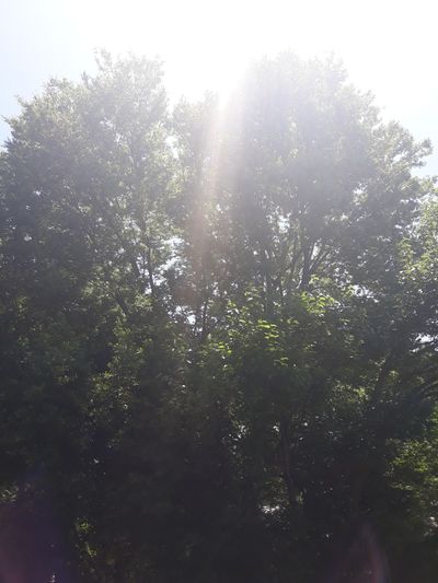 justahumblefollower thumbnail