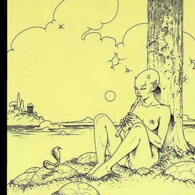 Adrian Wolf thumbnail