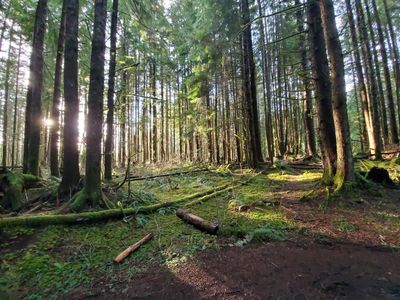 darling_pisces thumbnail