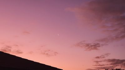 kitty-blackheart thumbnail