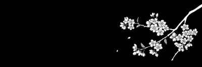 itsarirain thumbnail