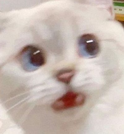 miki-tgirl thumbnail