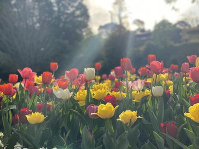 laurengetsnaughty thumbnail