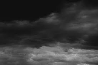 only_zernog thumbnail