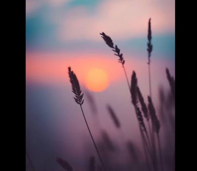 aurora.feet14 thumbnail