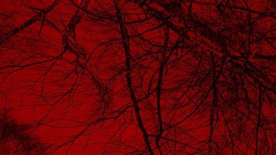 joaquin.ignacio.96 thumbnail