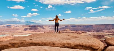 wingedbrick69 thumbnail