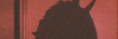 binnamonlee thumbnail